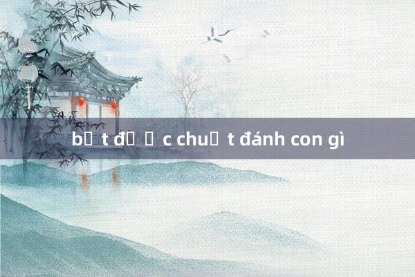 bắt được chuột đánh con gì