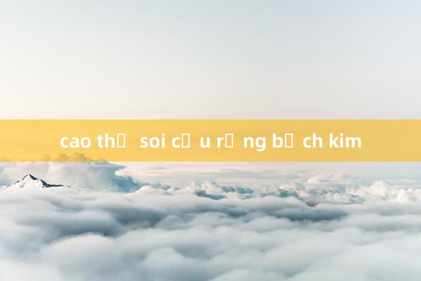 cao thủ soi cầu rồng bạch kim