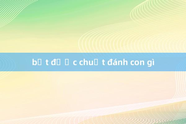 bắt được chuột đánh con gì