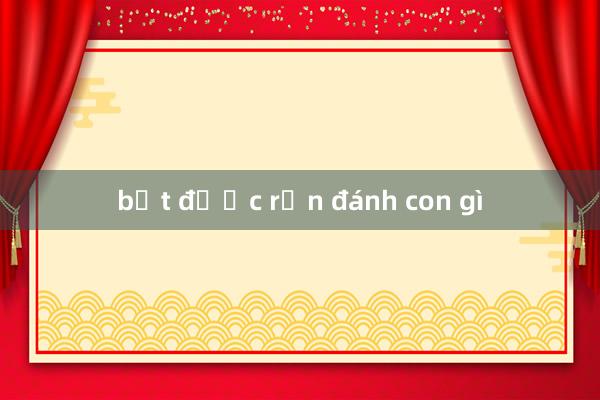 bắt được rắn đánh con gì