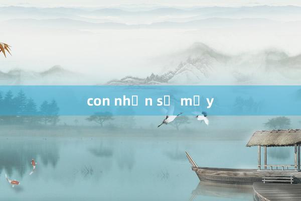 con nhện số mấy