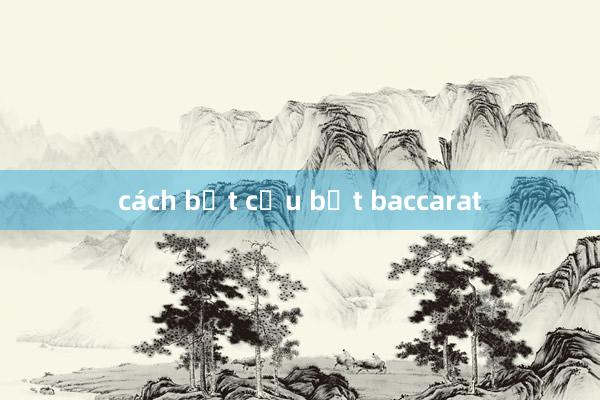 cách bắt cầu bệt baccarat