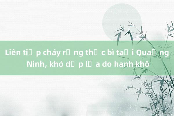 Liên tiếp cháy rừng thực bì tại Quảng Ninh， khó dập lửa do hanh khô