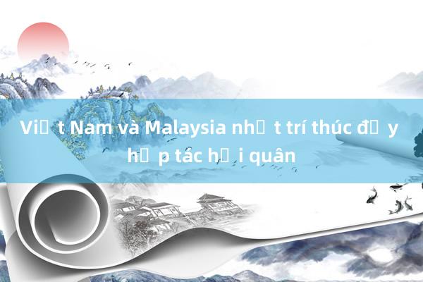 Việt Nam và Malaysia nhất trí thúc đẩy hợp tác hải quân