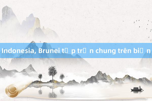 Indonesia， Brunei tập trận chung trên biển