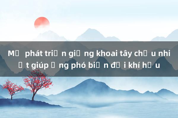 Mỹ phát triển giống khoai tây chịu nhiệt giúp ứng phó biến đổi khí hậu