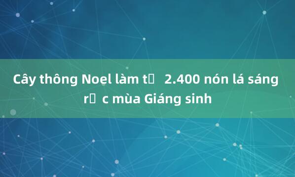 Cây thông Noel làm từ 2.400 nón lá sáng rực mùa Giáng sinh