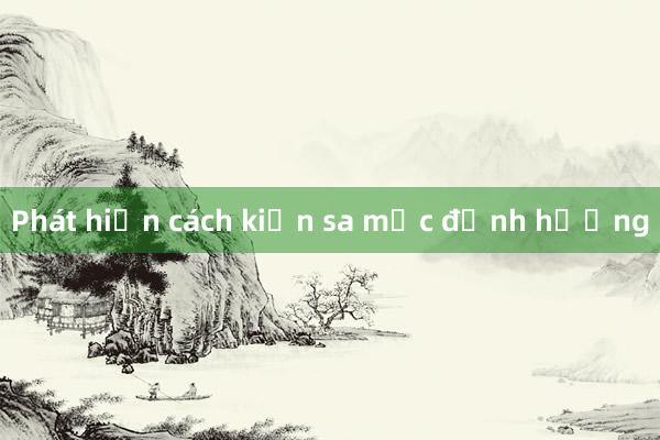 Phát hiện cách kiến sa mạc định hướng