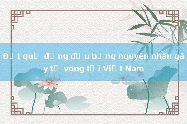 Đột quỵ đứng đầu bảng nguyên nhân gây tử vong tại Việt Nam